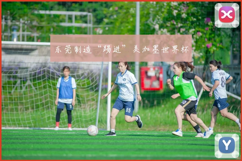 东莞制造“踢进”美加墨世界杯